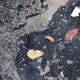 Illustration for article titled Shocking Photos from the Water Sports Site of the Rio Olympics